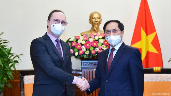Viet Nam treasures comprehensive strategic partnership with Russia: FM Bui Thanh Son