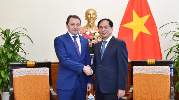 Vietnam and Azerbaijan have potential to boost cooperation in various fields: FM