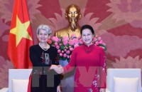 vietnam un set development cooperation model
