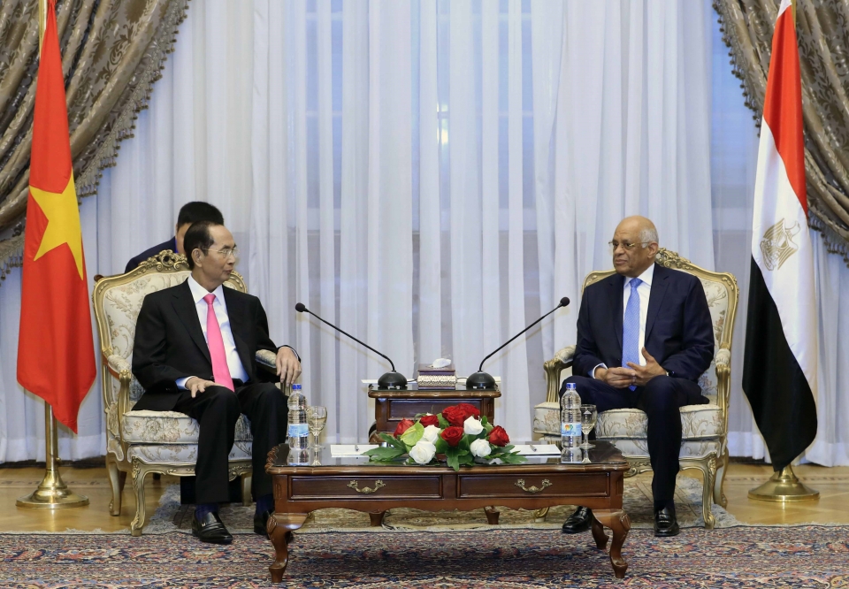 president vietnam maintains friendship with egypt via different channels