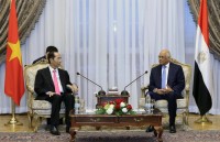 vietnamese president meets fedcoc leaders concludes egypt visit
