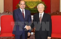 president lauds egyptian ambassadors contribution to bilateral ties