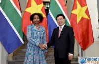 vietnamese buddhism introduced in africa