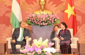 Hungary willing to share e-government building experience with VN
