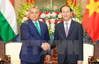 president vietnam ready to bridge bulgaria asean relations