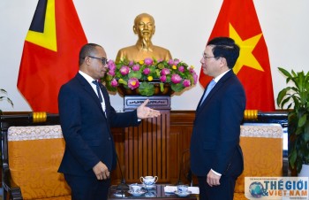 Vietnam, Timor-Leste FMs discuss measures to step up relations