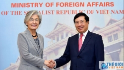 Foreign Minister Pham Binh Minh holds talks with RoK counterpart