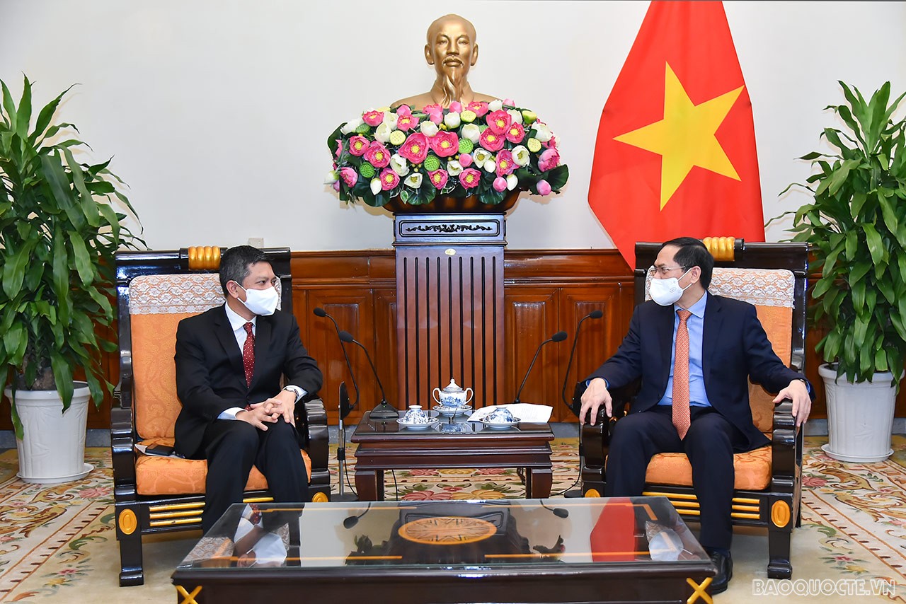 Foreign Minister Bui Thanh Son receives Indonesian Ambassador to Viet Nam Denny Abdi