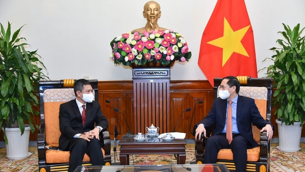 Foreign Minister Bui Thanh Son receives Indonesian Ambassador to Viet Nam Denny Abdi