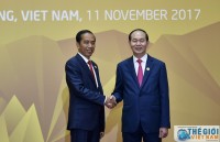 vietnam leapfrogs to world stage