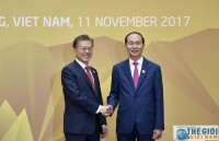 vietnam rok delighted at progress of bilateral ties