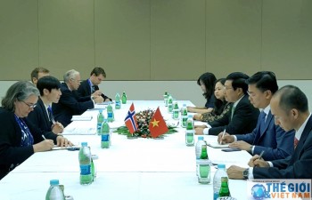 Vietnam intensifies ties with Norway, Ireland