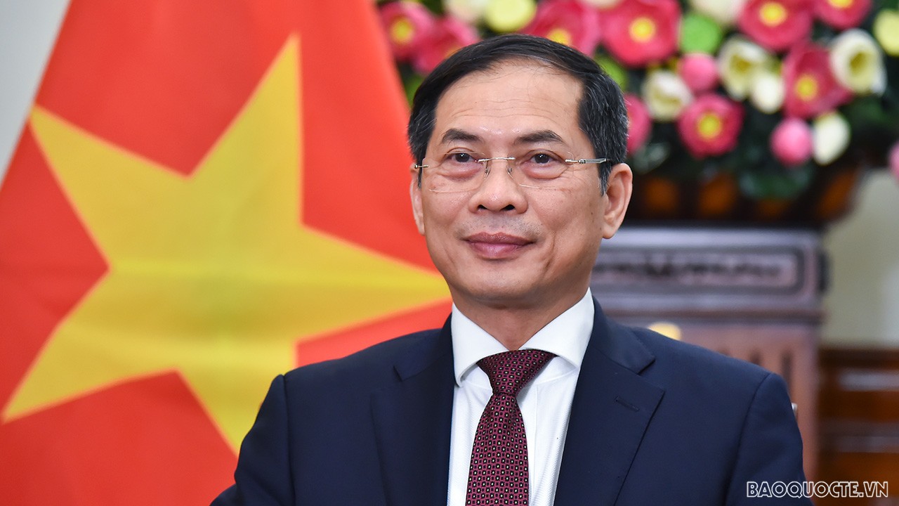 Foreign Minister Bui Thanh Son stresses significance of Viet Nam’s election to UNESCO Executive Board Foreign Minister Bui Thanh Son stresses significance of Viet Nam’s election to UNESCO Executive Board