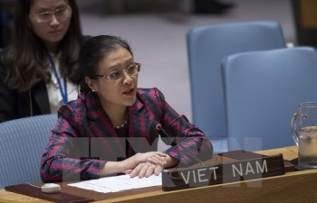 Vietnam welcomes efforts in building peace: Ambassador